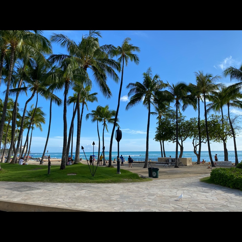 Meet your Posher, Yuko